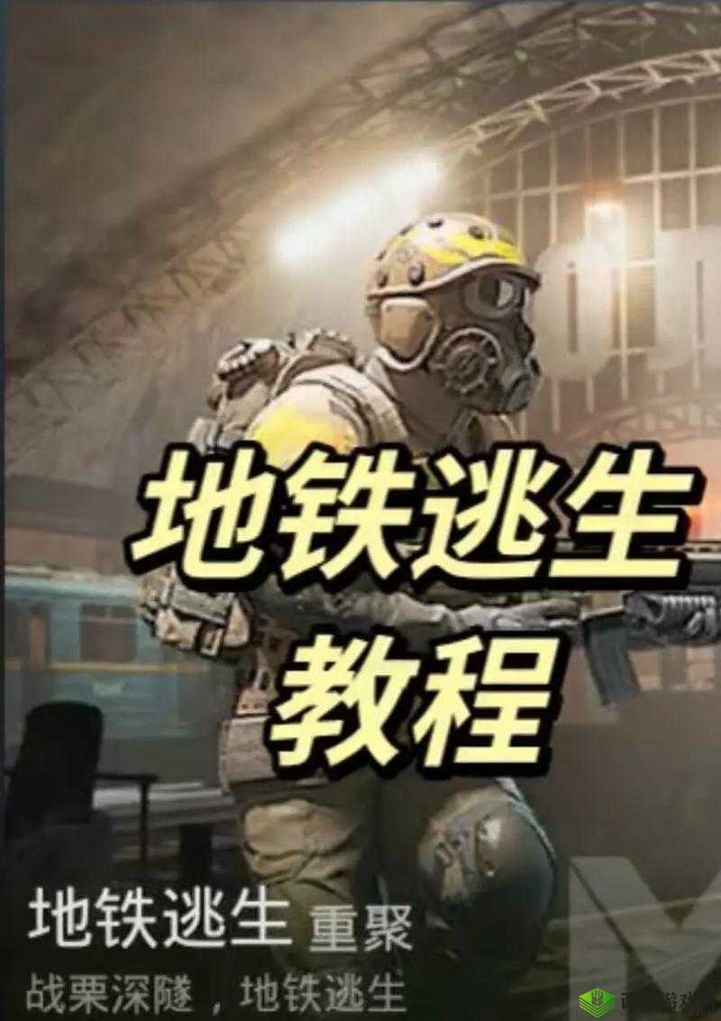 危鸡之夜侦察鸡玩法全解析及技巧攻略大揭秘