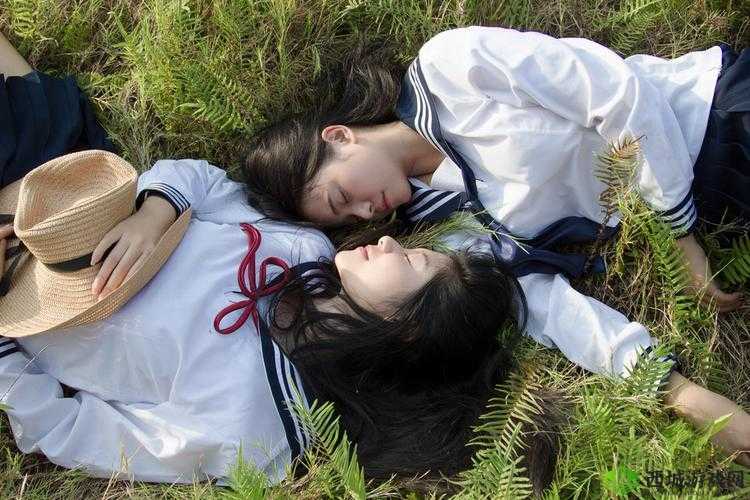 女女同さくらちゃん 是什么？它为何如此受欢迎？