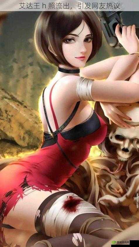如何看待艾达王 h 照泄露事件？